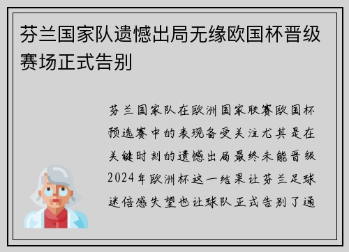 芬兰国家队遗憾出局无缘欧国杯晋级赛场正式告别